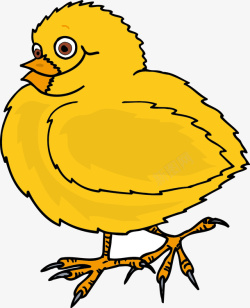 家禽饲养卡通小黄鸡高清图片