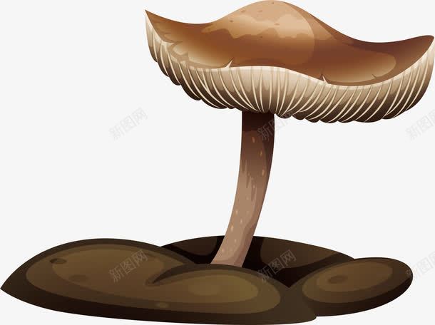 灰色蘑菇png免抠素材_新图网 https://ixintu.com 卡通 灰色 菌菇 菌菇干货 菌菇拼盘 菌菇汤 野生菌菇