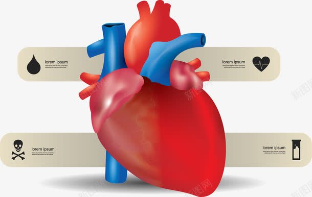彩色新作形png免抠素材_新图网 https://ixintu.com PPT元素 健康 医学 心脏 红色