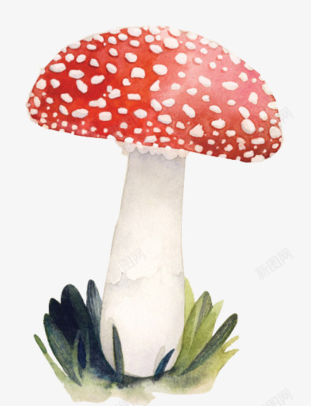 红蘑菇psd免抠素材_新图网 https://ixintu.com 图案 红色 红菇 蘑菇
