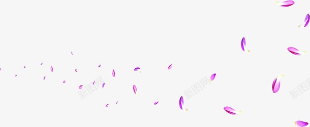 紫色飞舞的花瓣中秋png免抠素材_新图网 https://ixintu.com 中秋 紫色 花瓣 飞舞