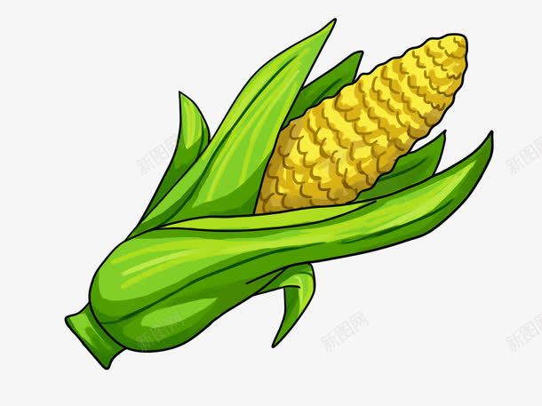 手绘玉米png免抠素材_新图网 https://ixintu.com 卡通 手绘 玉米 粮食