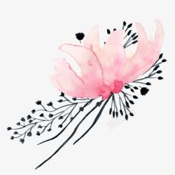 水彩木兰花木兰花高清图片