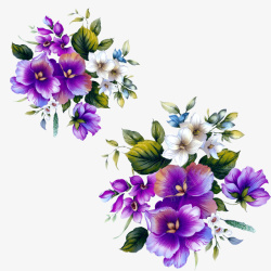 紫色花朵装饰花卉图案素材