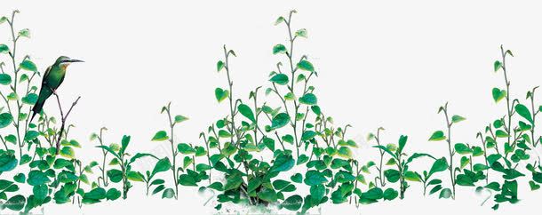 绿色植物装饰png免抠素材_新图网 https://ixintu.com 绿色植物花朵装饰图啄木鸟