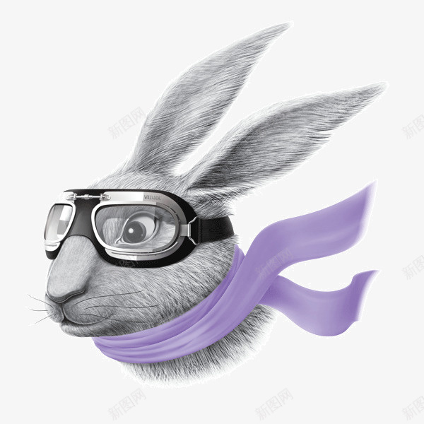兔子插图png免抠素材_新图网 https://ixintu.com 兔子 创意 动物 唯美 插图 艺术 设计