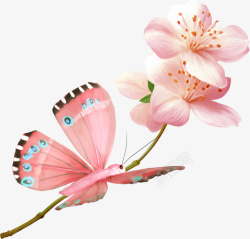 超唯美漂亮粉色花朵蝴蝶素材