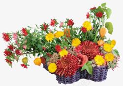 植物海报篮子花朵素材