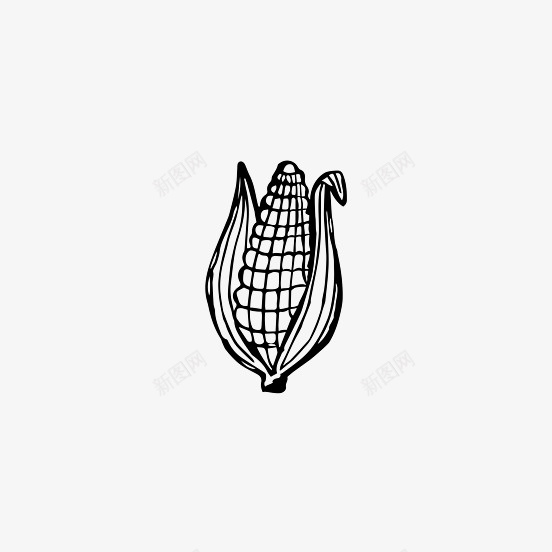 手绘线条黑色玉米图标png_新图网 https://ixintu.com 手绘 手绘线条黑色玉米 手绘线条黑色玉米PNG 玉米 线条 黑色