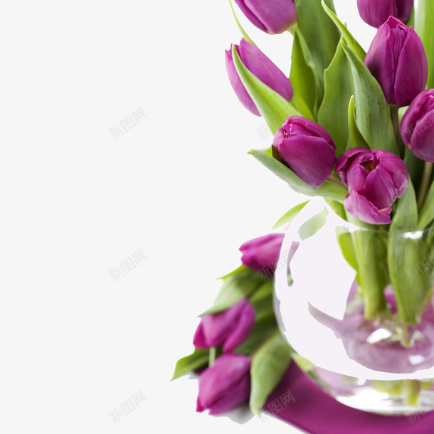 紫色的郁金香png免抠素材_新图网 https://ixintu.com 紫色的 花朵 花瓶 郁金香
