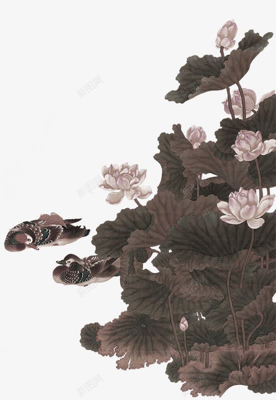 褐色中国风荷塘装饰图案png免抠素材_新图网 https://ixintu.com 中国风 免抠PNG 荷塘 装饰图案 褐色