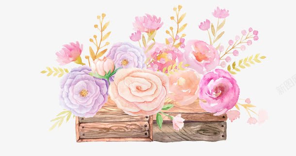 水彩手绘插画png免抠素材_新图网 https://ixintu.com 手绘 插画 水彩 玫瑰 花朵