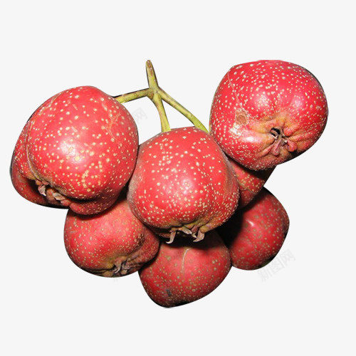 大个红色山楂水果png免抠素材_新图网 https://ixintu.com 产品实物 大个山楂 实物 水果 烂水果 红色 食物水果