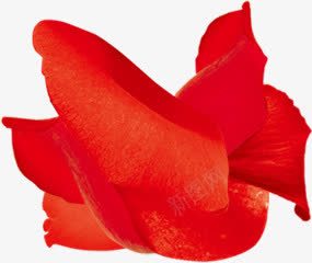 红色花朵装扮天猫电器png免抠素材_新图网 https://ixintu.com 电器 红色 花朵 装扮