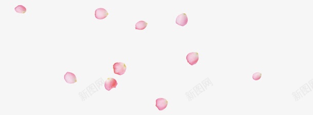 粉色花瓣装饰效果png免抠素材_新图网 https://ixintu.com 效果 粉色 花瓣 装饰