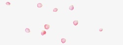 粉色花瓣装饰效果素材