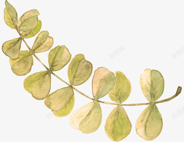 绿色手绘对称的树叶png免抠素材_新图网 https://ixintu.com 叶子 叶子装饰 手绘叶子 树叶 绿叶 绿色叶子