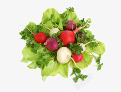 蔬菜网页绿色蔬菜高清图片