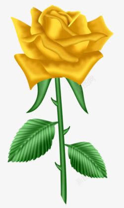 一朵黄玫瑰一朵黄玫瑰高清图片