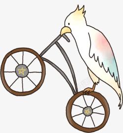 骑自行车的鹦鹉卡通人物手绘素材