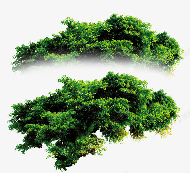 绿色简约树林装饰图案psd免抠素材_新图网 https://ixintu.com 免抠PNG 树林 简约 绿色 装饰图案
