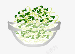 发芽的绿豆一碗发芽的绿豆绿豆芽高清图片