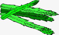 卡通绿芦笋莴笋蔬菜插画素材