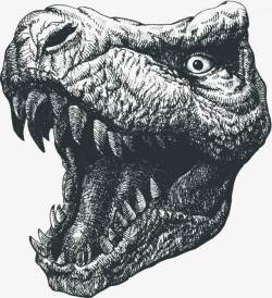 恐龙素描恐龙头部高清图片