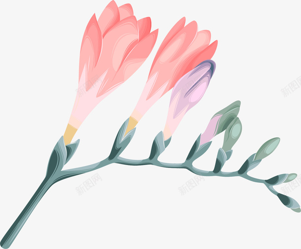 卡通手绘粉色花朵png免抠素材_新图网 https://ixintu.com 卡通花朵 手绘鲜花 植物 水彩花朵 花卉 花朵 鲜花