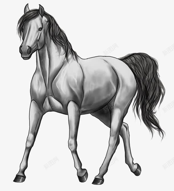 手绘一匹马png免抠素材_新图网 https://ixintu.com 卡通 毛笔马 漫画 骏马 黑白的马
