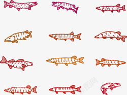 水生梭鱼野生动物河鱼矢量图高清图片