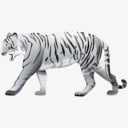 白色的老虎animalsiconset图标png_新图网 https://ixintu.com tiger white 白色的 老虎