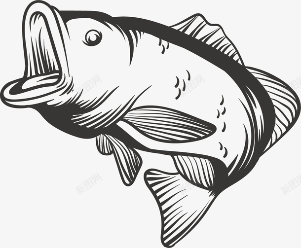 大嘴灰鱼png免抠素材_新图网 https://ixintu.com 一跃而起 大嘴灰鱼 跃出水面的鱼 跳出水面 跳跃的鱼 鱼类