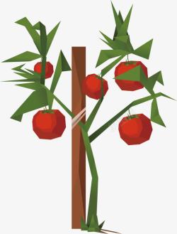 红色棍子几何西红柿高清图片