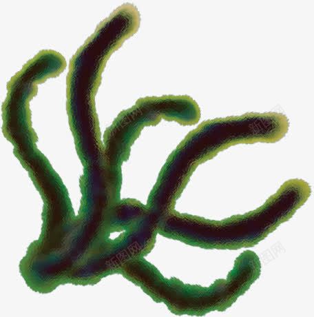 创意合成彩绘效果绿色的海藻png免抠素材_新图网 https://ixintu.com 创意 合成 彩绘 效果 海藻 绿色
