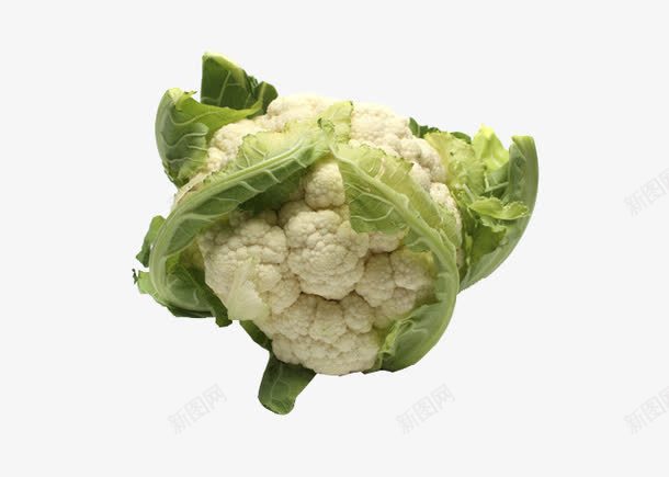 有机菜花png免抠素材_新图网 https://ixintu.com 白色菜花 绿色食品 美食 菜花 蔬菜