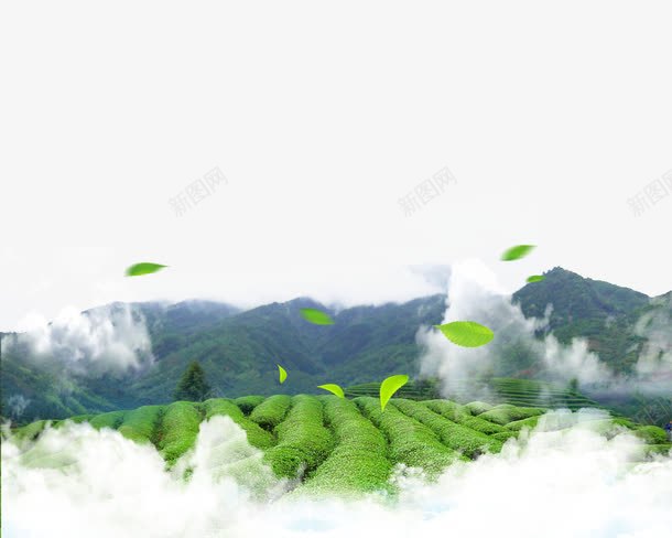 创意实景风吹绿叶png免抠素材_新图网 https://ixintu.com 免费抠图 创意实景 叶子 山 绿叶 绿色 风吹 风吹绿叶
