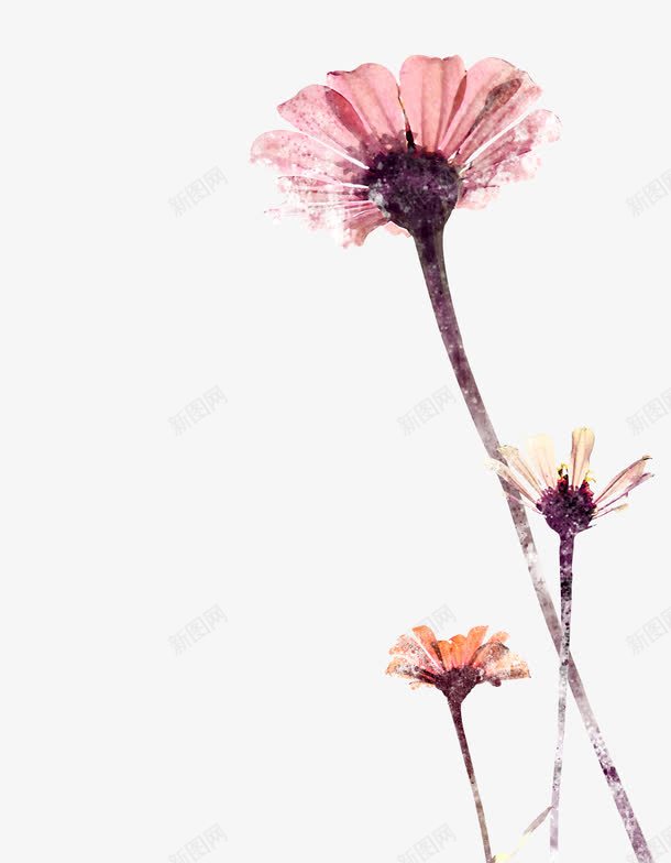 粉色小花psd免抠素材_新图网 https://ixintu.com 植物花卉素材 水墨花朵 粉色的小花