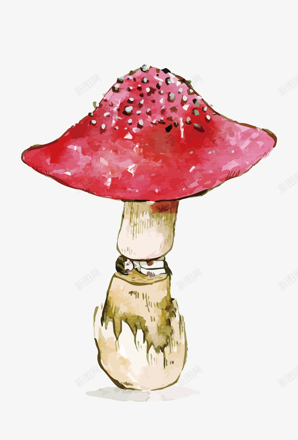 红蘑菇矢量图eps免抠素材_新图网 https://ixintu.com PNG图片 PNG图片素材 PNG素材 PNG素材免费 PNG素材免费下载 手绘 水彩 矢量图 红色 红菇 蘑菇