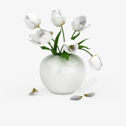 白色鲜花束素材