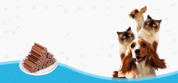 宠物食品蓝色宠物食品促销卡通蓝色banner高清图片