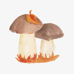 水彩绘蘑菇素材