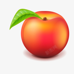 桃子水果矢量图素材