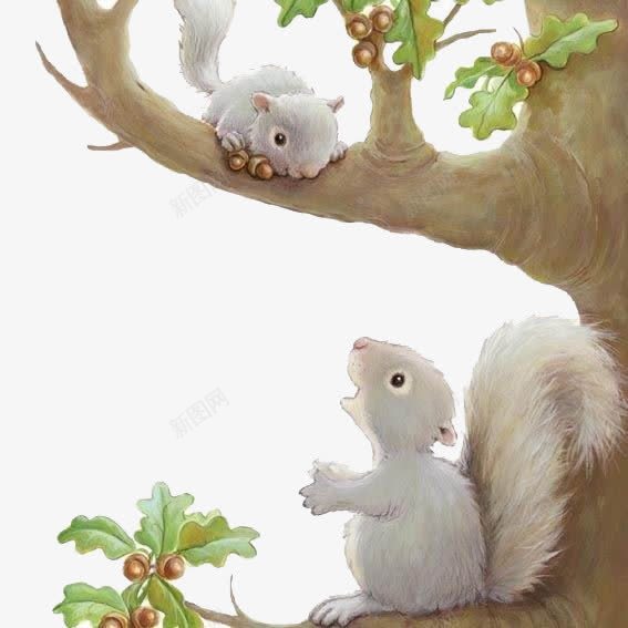 树上的小松鼠png免抠素材_新图网 https://ixintu.com 儿童插画 卡通 卡通人物 卡通动物 可爱 小松鼠 插画 故事插画