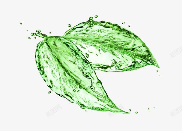 绿色液体叶子png免抠素材_新图网 https://ixintu.com 叶子 液体 绿色