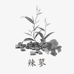 药材LOGO中药药材图标高清图片