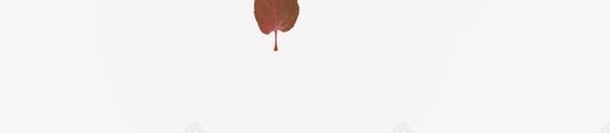 褐色简约树叶漂浮png免抠素材_新图网 https://ixintu.com 免抠PNG 树叶 漂浮素材 简约 褐色