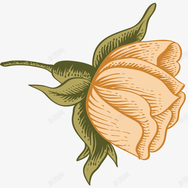 卡通手绘花卉png免抠素材_新图网 https://ixintu.com 卡通 复古 手绘 插画 植物 自然 花卉 花朵
