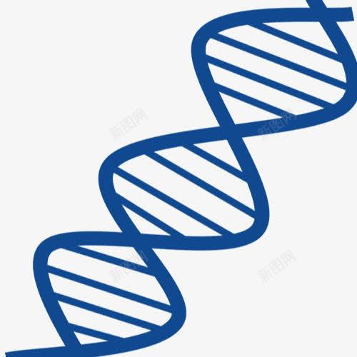 蓝色基因链png免抠素材_新图网 https://ixintu.com 医学 基因学 基因链 蓝色 螺旋