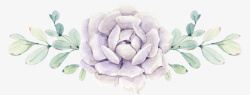 花手绘紫玫瑰素材